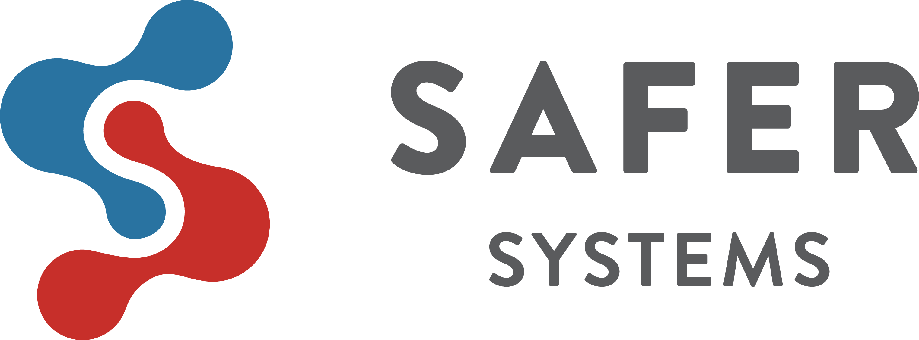 Safer Systems LLCInvestment,Investment Series,Investment Analysis
